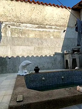 Leo bunny hot online show from 9, 10, 2025