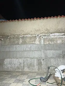 Leo bunny hot online show from 22, 12, 2025