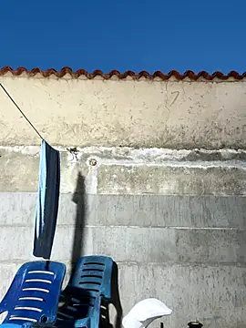 Leo bunny hot online show from 12, 10, 2025