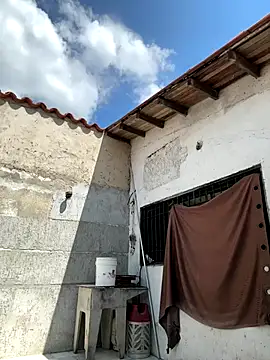 Leo bunny hot online show from 24, 9, 2025