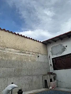 Leo bunny hot online show from 13, 10, 2025