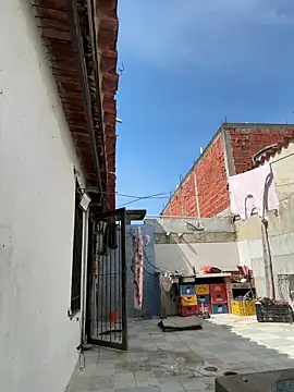 Leo bunny hot online show from 2, 10, 2025