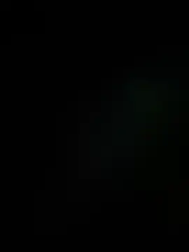 Leo bunny hot online show from 16, 12, 2025