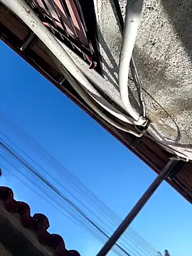 Leo bunny hot online show from 13, 2, 2026