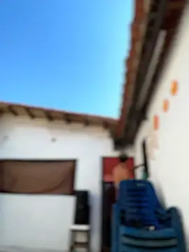 Leo bunny hot online show from 6, 2, 2026