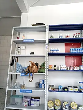 Megan jennerr online show from 28, 9, 2025