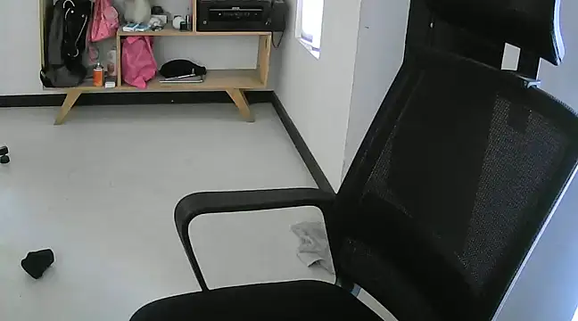 hanitahache online show from 2, 12, 2024