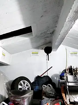 Xxxasrty online show from 28, 11, 2025