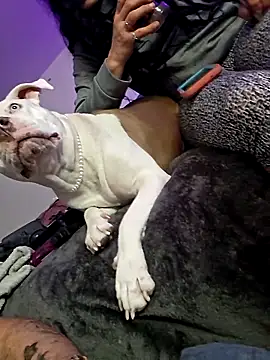 Jokergotherwett online show from 3, 3, 2026