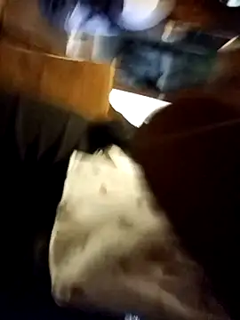 Landlordlandlord12 online show from 5, 1, 2026