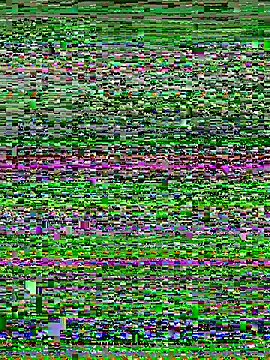 Curveysinaa online show from 4, 11, 2025