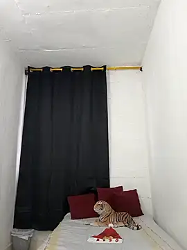 Velk hot online show from 14, 12, 2024