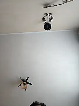 vulpe8400 online show from 18, 4, 2026