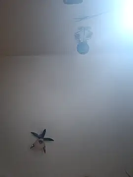 vulpe8400 online show from 7, 4, 2026