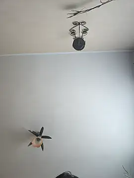 vulpe8400 online show from 6, 4, 2026