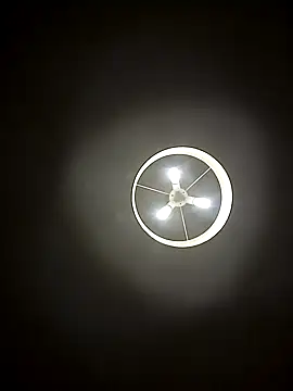 leloupblanc5304 online show from 26, 2, 2025