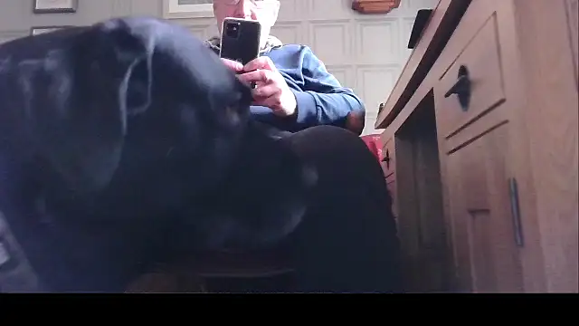 Adamdaddybear online show from 21, 3, 2025