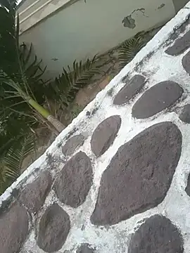 elcobin online show from 18, 3, 2025