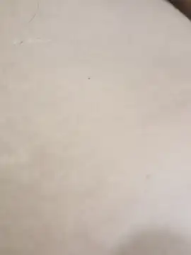 elcobin online show from 24, 9, 2025