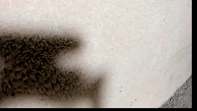 Brock hurn1 online show from 15, 9, 2025