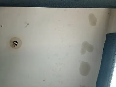 DevinToore online show from 17, 10, 2025