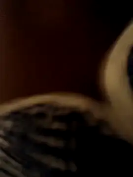 Crazybitchtheanalgoddess4 online show from 20, 3, 2026