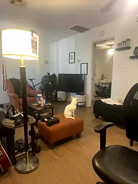 PEGATIVET online show from 29, 9, 2025