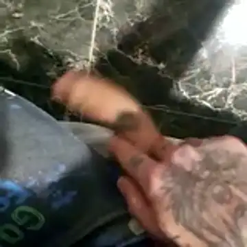 1234raul8 online show from 12, 1, 2026