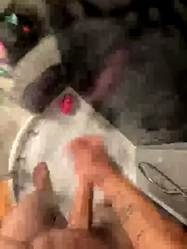 lescro95  online show from 4, 10, 2025