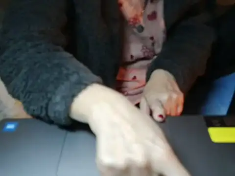 VeneRed online show from 14, 1, 2026