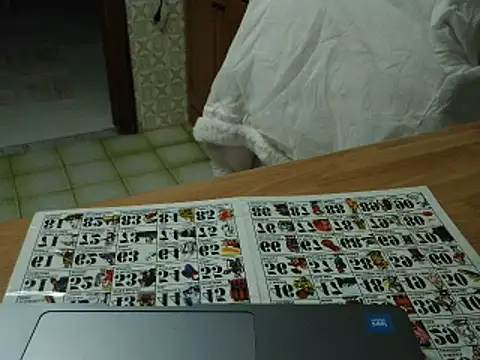 VeneRed online show from 17, 11, 2025