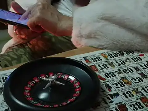 VeneRed online show from 12, 11, 2025