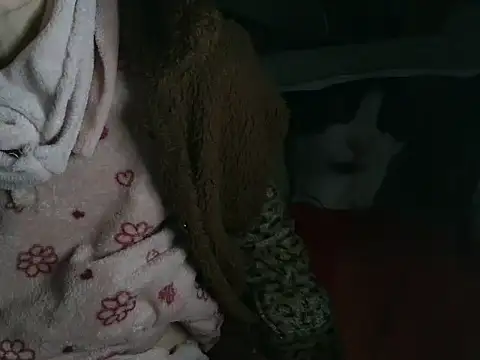 VeneRed online show from 16, 3, 2026