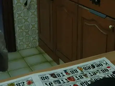 VeneRed online show from 16, 11, 2025