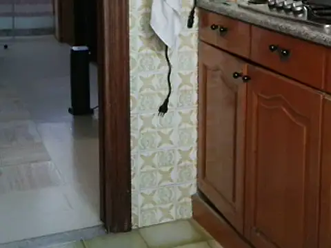 VeneRed online show from 14, 10, 2025