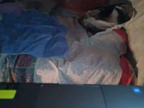 VeneRed online show from 17, 1, 2026