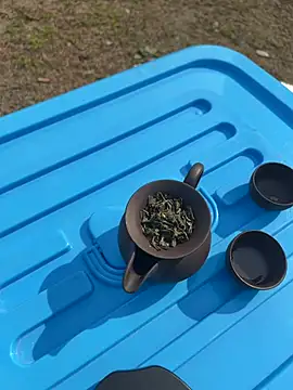 CN-Shanshan online show from 1, 2, 2026