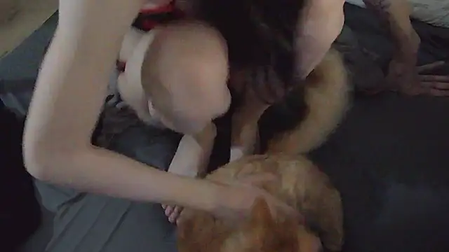 CeriseLapine online show from 12, 2, 2026