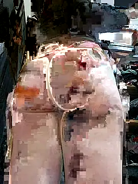 gina7772 online show from 7, 11, 2025