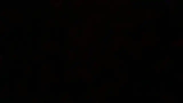 GymBoyVan online show from 28, 3, 2026