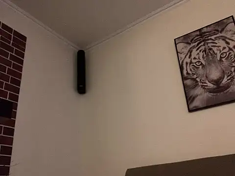 mesetti online show from 13, 1, 2025