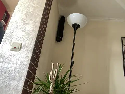 mesetti online show from 16, 2, 2025