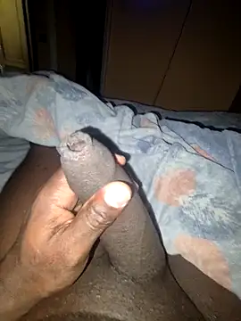 pumapatri online show from 15, 2, 2026