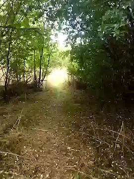 nataliecdlive online show from 13, 9, 2025