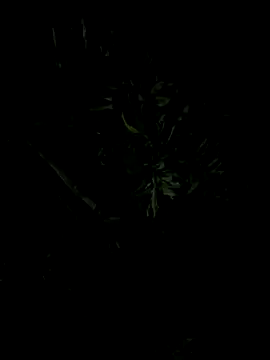 Erick-90 online show from 23, 9, 2025