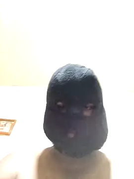 Nogeris20 online show from 6, 11, 2025