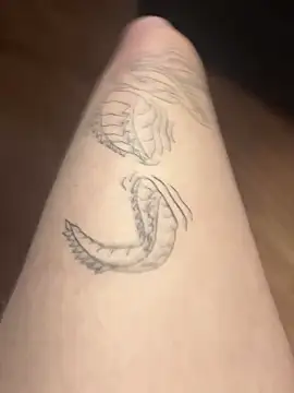 romanhrdcore online show from 31, 1, 2025