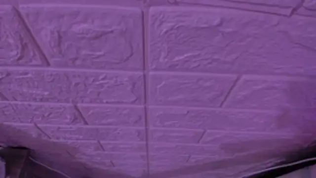 gabyye capprins online show from 15, 11, 2025