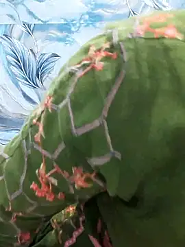 Sania-Love online show from 11, 2, 2026