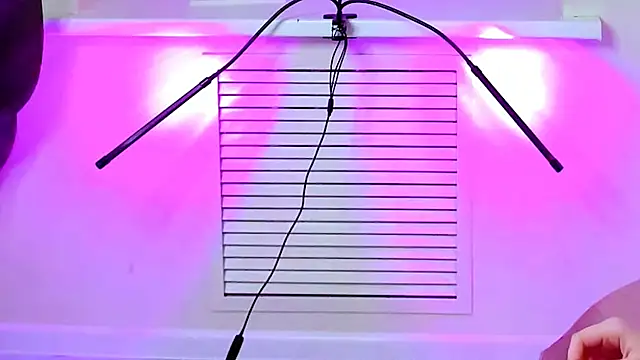 CarolGiggly online show from 16, 11, 2025